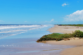 A higher beach with dunes at McFaddin Refuge entrance